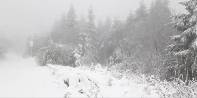 Do Česka dorazil sníh. Spláchnou jej deště, meteorologové varují před povodněmi