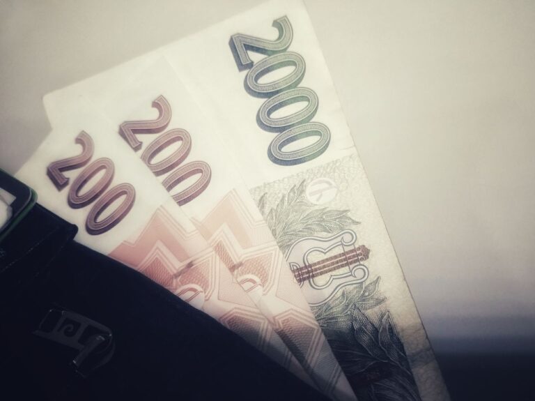 Mzdy v Česku rostou v porovnání se sousedními státy nejrychleji