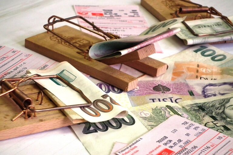 Za neplatiče alimentů bude výživné platit stát, Senát souhlasil