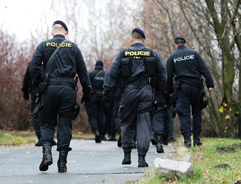 Kriminalita v Česku letos pravděpodobně mírně poklesla