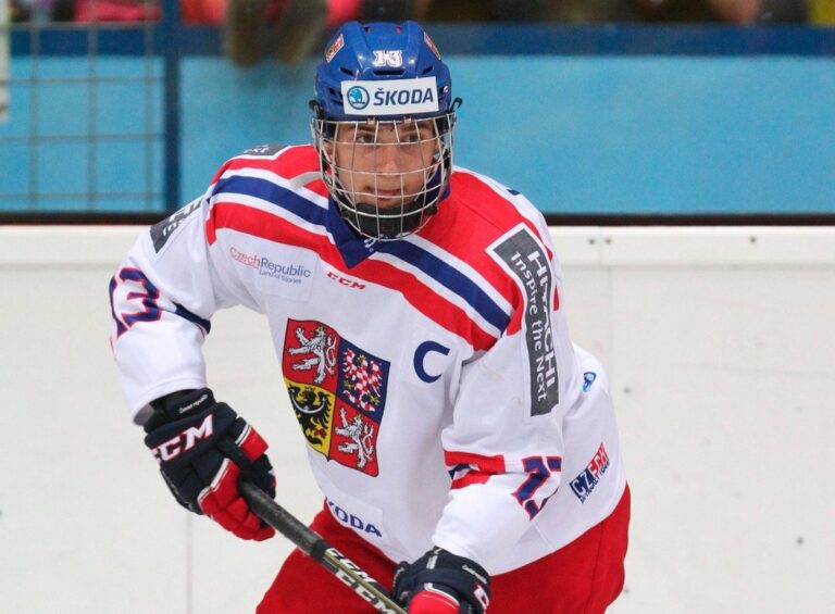 Čeští hokejisté opět porazili Švédy, ve Stockholmu vyhráli 2:1