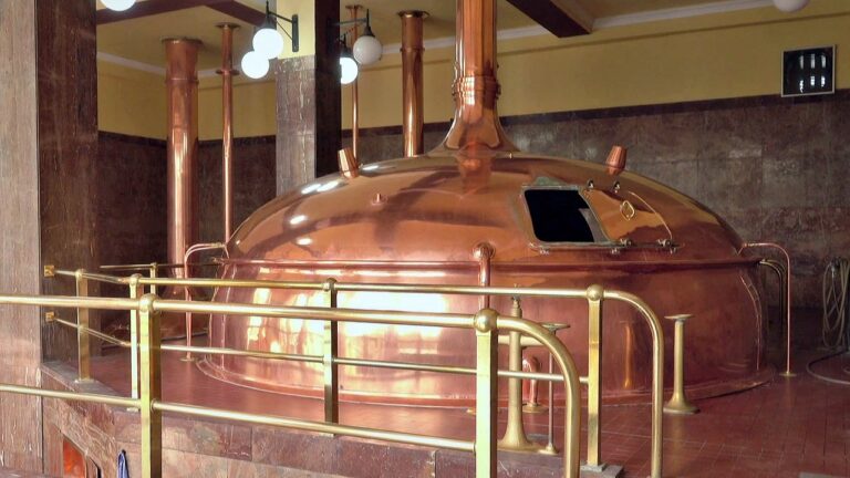 Koronavirus dramaticky snížil tržby dvěma třetinám minipivovarů