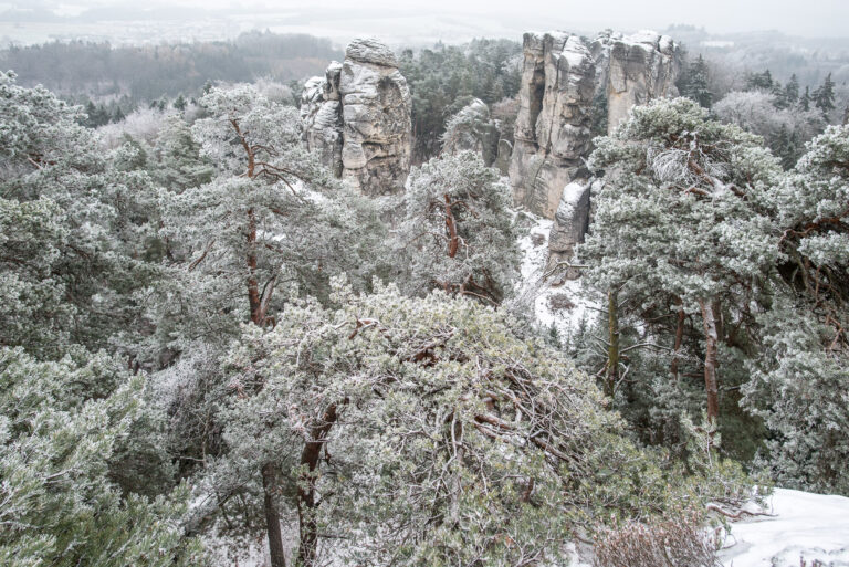 Předpověď čeká běžné lednové počasí, mrznout má v noci