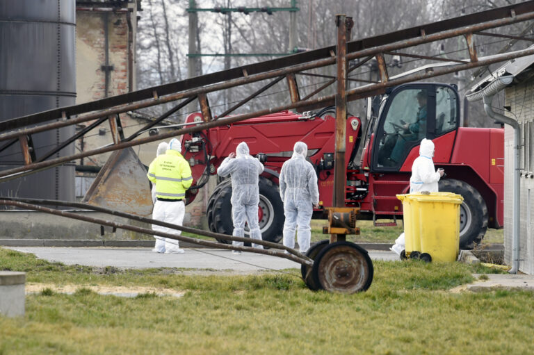 Ohniska ptačí chřipky jsou v polovině ČR, nově ve Zlínském kraji