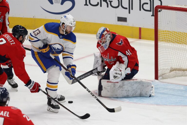 Vaněček vychytal výhru Washingtonu, Hertl a Nosek asistovali