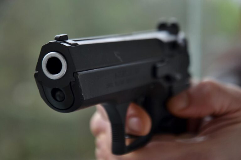 Právo bránit sebe i jiné se zbraní bude v ČR ústavně zakotveno