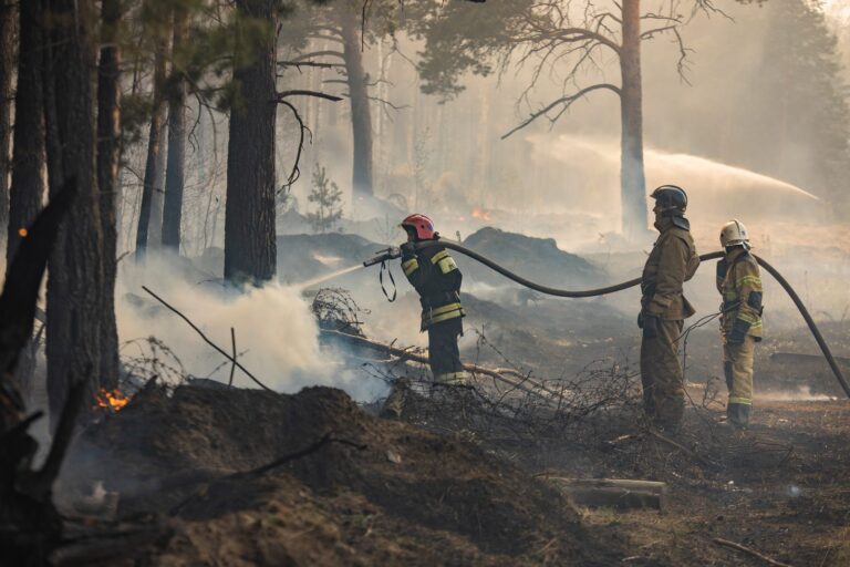 Rusko se na východě Sibiře potýká se zničujícími požáry. Hasičům se nedaří dostat oheň pod kontrolu