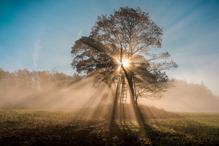 Přelom září a října bude v Česku průměrně teplý