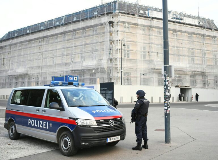 Navigace nasměrovala opilého Čecha přímo do náručí rakouské policie