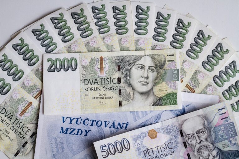 Odbory projednají s Babišem růst mezd ve veřejné sféře, existují dva návrhy