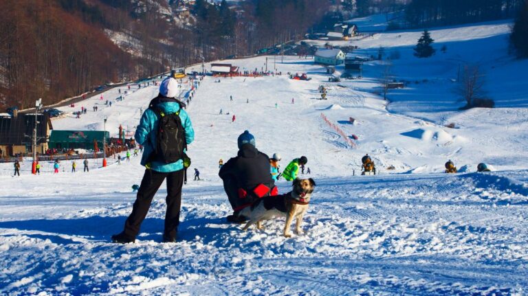 Zimní sezóna 2021: Skiareály řekly, o kolik zdraží a jaká budou opatření