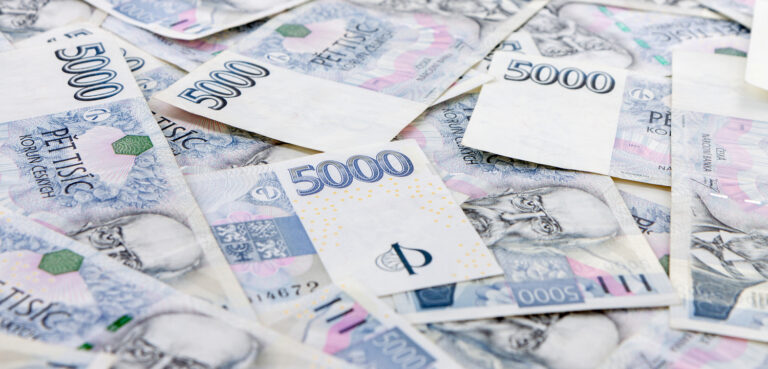 Odborník: České rozpočty v posledních letech nezohledňují dlouhodobé souvislosti