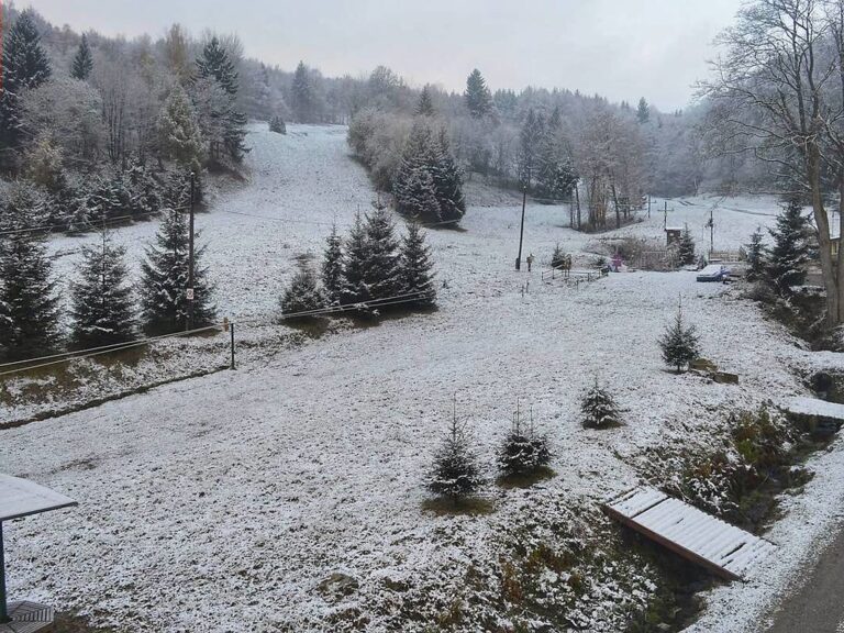 O víkendu bude sněžit, na horách i vydatně, mráz může poškodit vegetaci