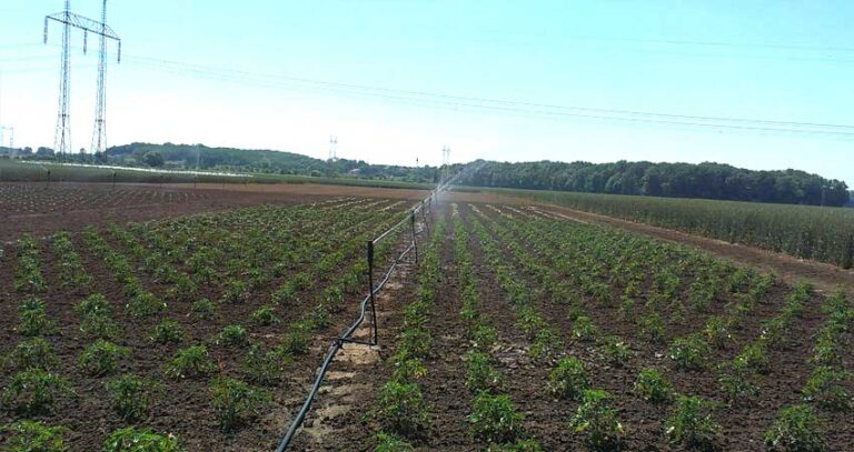Do ČR se vrátilo zemědělské sucho, situace se lepšit zatím nebude