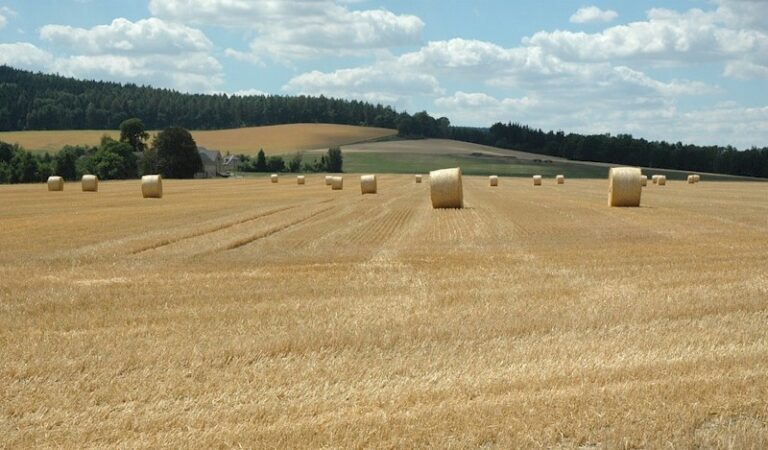 Satelitní snímky ukazují ruské lodě naložené patrně ukrajinským obilím, píše CNN