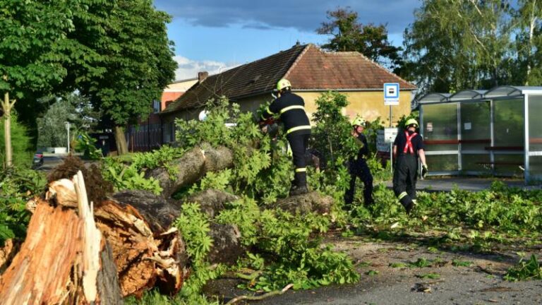 Většina poruch dodávek elektřiny na jižní Moravě a Vysočině je opravená