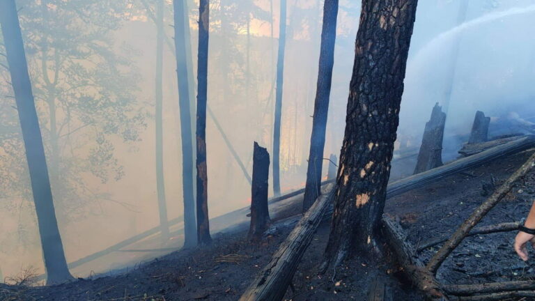 Hasiči začali streamovat zásah z Českého Švýcarska pro veřejnost