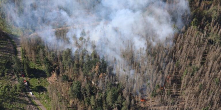 Hasiči v NP České Švýcarsko pokračují v likvidaci požáru u Hřenska