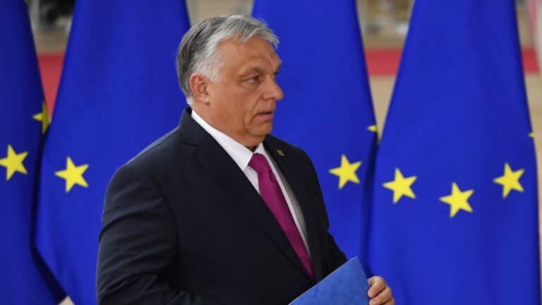 Orbánova slova o míšení ras kritizoval i europarlament a šéfka EK