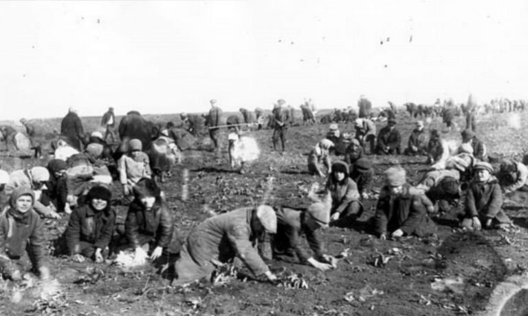 Senát označil hladomor na Ukrajině ve 30. letech 20. století za genocidu