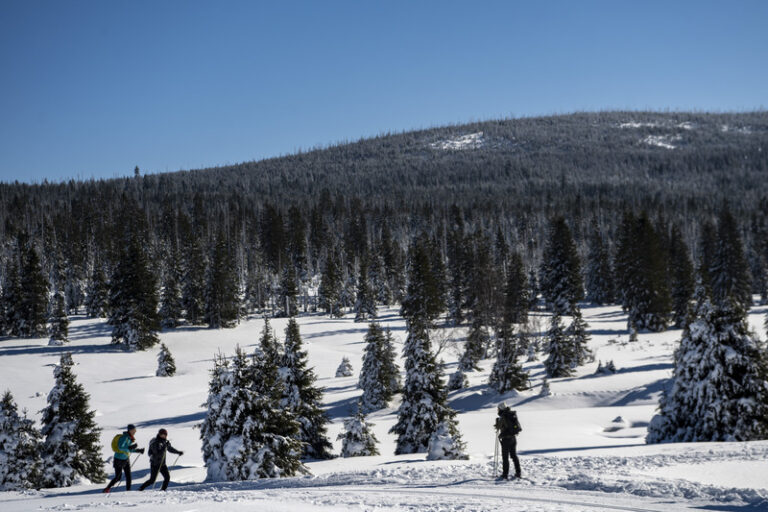 V Česku se v týdnu oteplí, noční teploty budou ale dál klesat pod bod mrazu