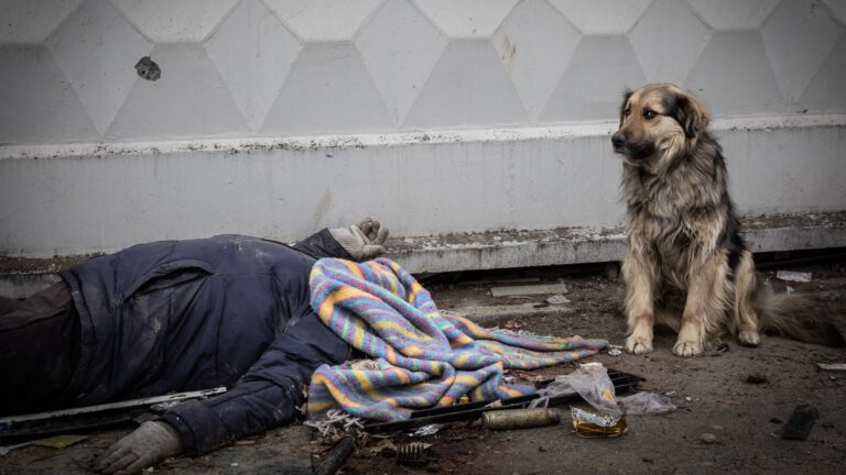 Czech Press Photo vyhrál snímek masakru v Buči