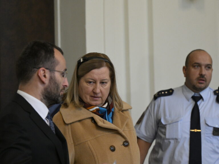 Žalobci se zabývají možnými křivými výpověďmi v kauze Čapí hnízdo