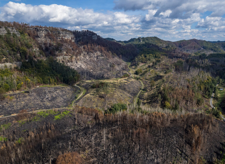 U Pravčické brány budou po požáru přes noc hlídat dvě hasičské jednotky