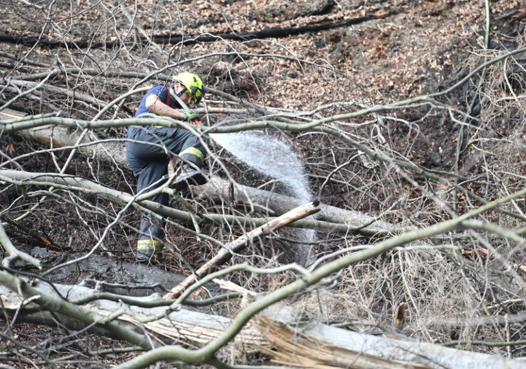 Policie obvinila muže zadrženého po čtvrtečním požáru v Českém Švýcarsku