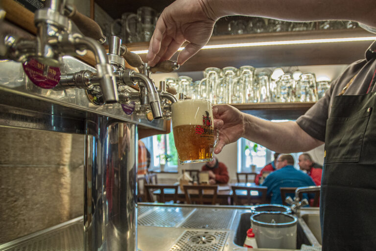 Světová produkce piva stoupla, sklizeň chmele kvůli počasí klesla