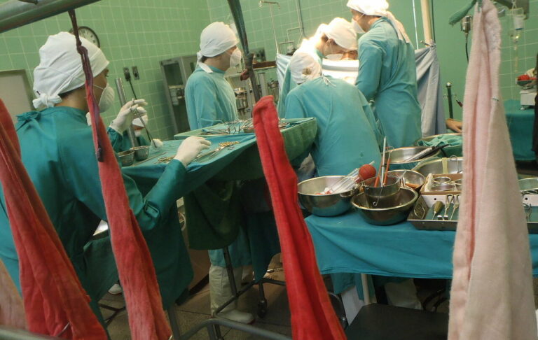 Kupte si orgány čistokrevných Ukrajinců, nabízí Evropanům reklama na internetu. Je to ruská provokace