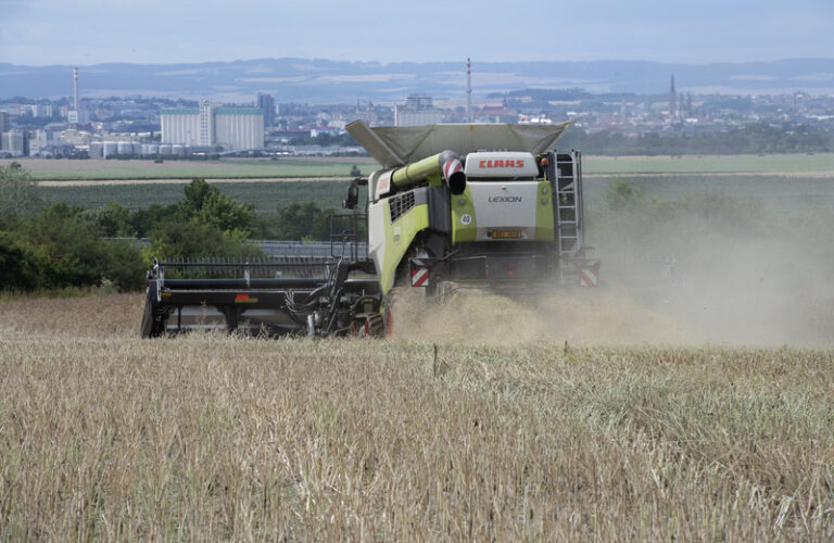Zemědělci mají téměř sklizeno, výnos je oproti loňsku vyšší