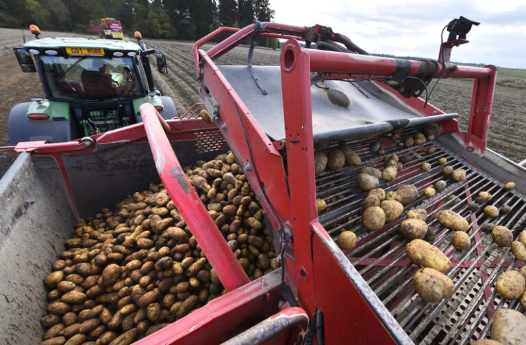 Pokles cen v zemědělství by měl podle analytiků zlevnit potraviny