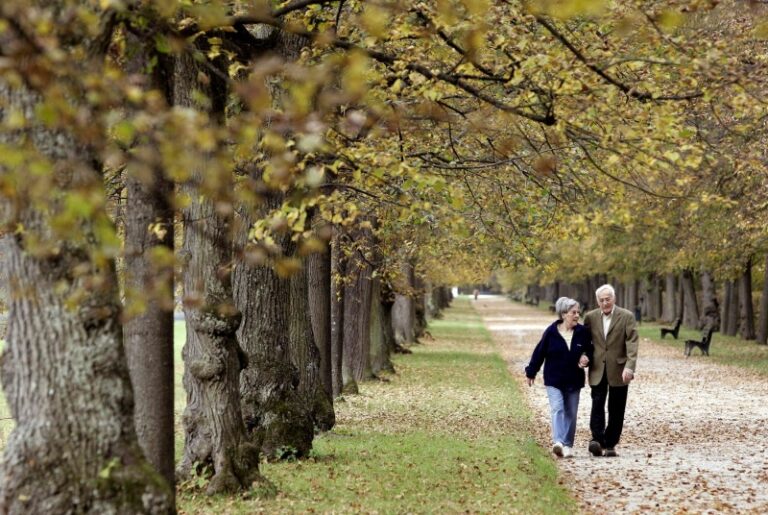 Lidé budou moci žádosti o důchod podávat také on-line, Senát souhlasil