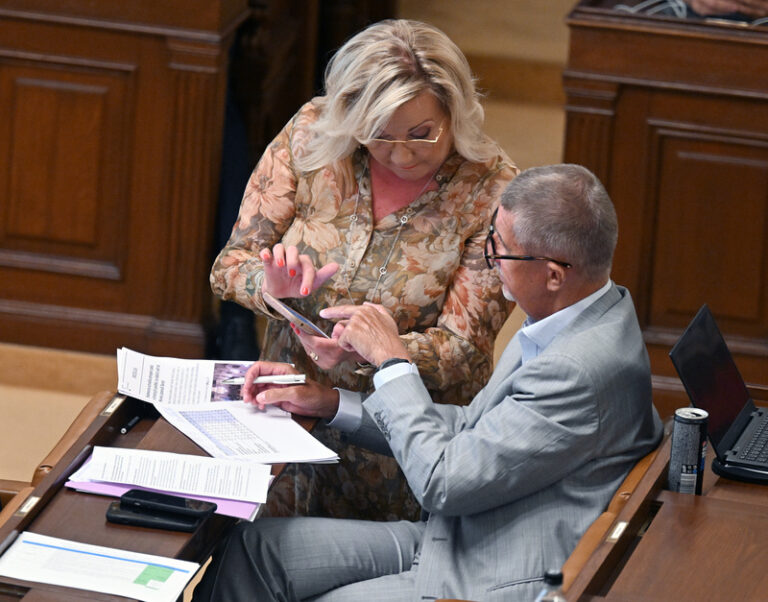 ANO svou reformu penzí nechystá, připraví kroky k udržitelnosti