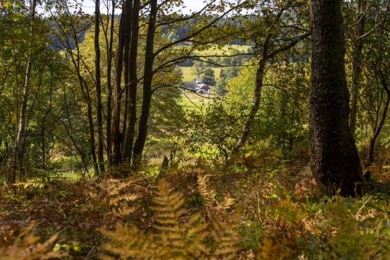 Noc a dnešní ráno byly extrémně teplé, zejména ve Slezsku, uvedl ČHMÚ
