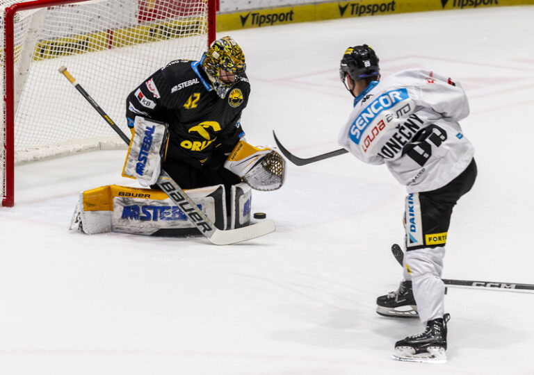 Litvínov přehrál Spartu, Pardubice porazily Boleslav