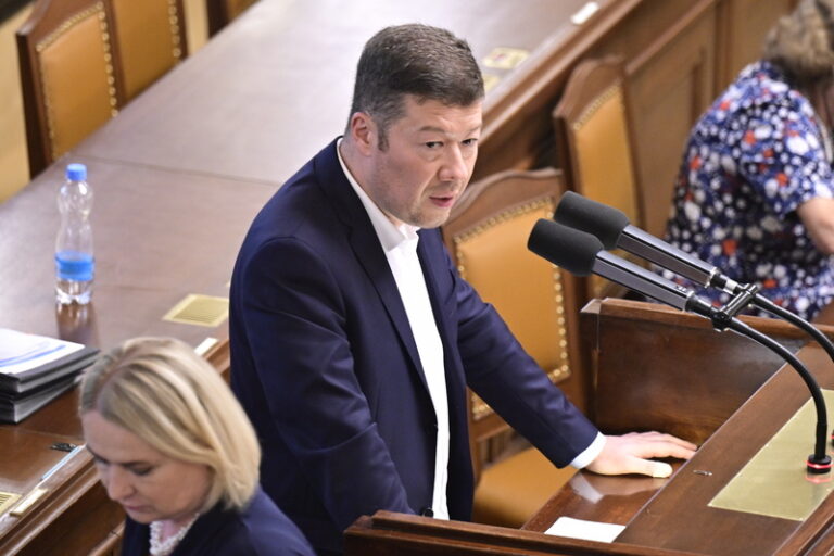 Okamura podal ústavní stížnost ve sporu o omluvu za označení Pitomio