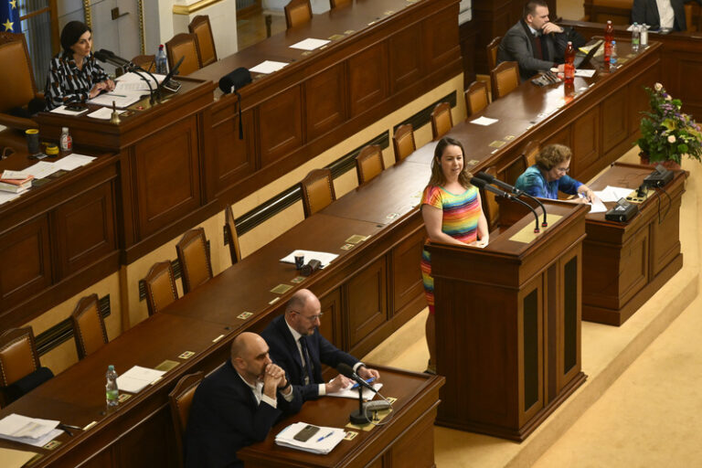 Stejnohopohlavní svazek by mohl být partnerstvím, navrhli poslanci