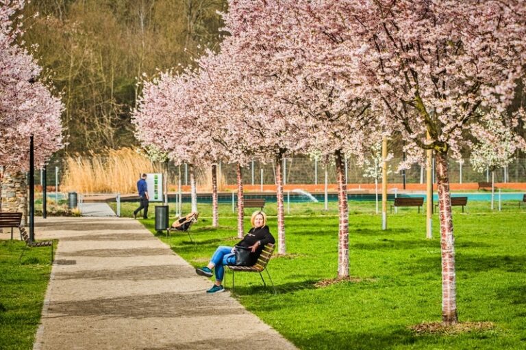 V ČR opět padly teplotní rekordy, ještě tepleji by bylo bez prachu ze Sahary