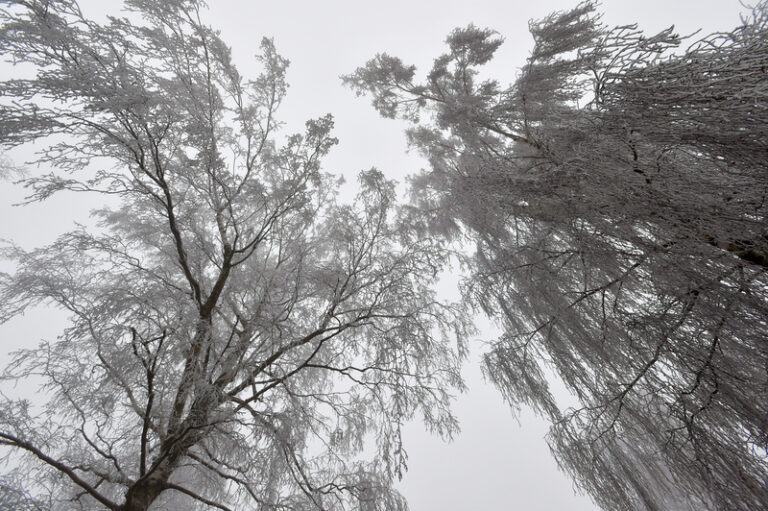 Na Jizerce a na Rolavě v noci teplota klesla pod minus 14 st. Celsia