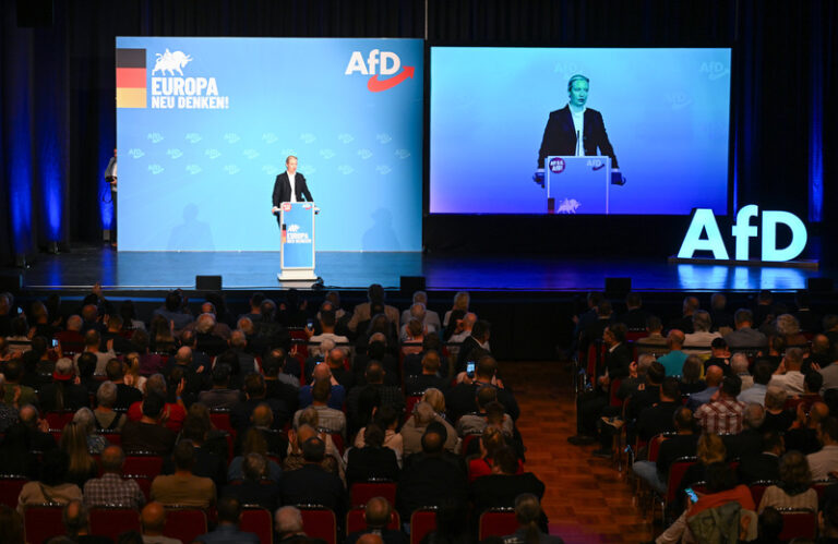 Skandály oslabená AfD zahájila kampaň před volbami do EP