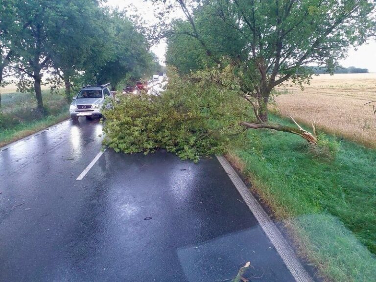 Extrémně silná bouřka se vyskytla na Vysočině, silné bouřky hrozí i v neděli