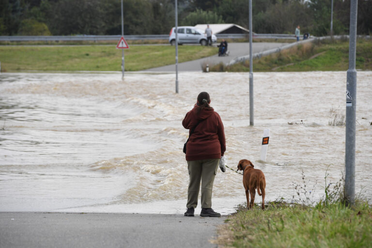 Hladiny řek klesají, ohrožení zůstává na jihu Čech, na Labi, Dyji a Moravě