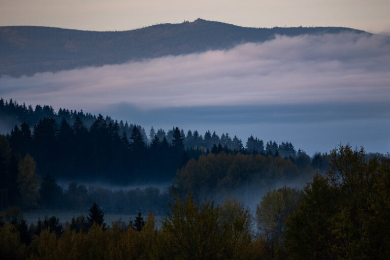 Týden bude chladný, v mlhách a nízké oblačnosti bude do pěti stupňů