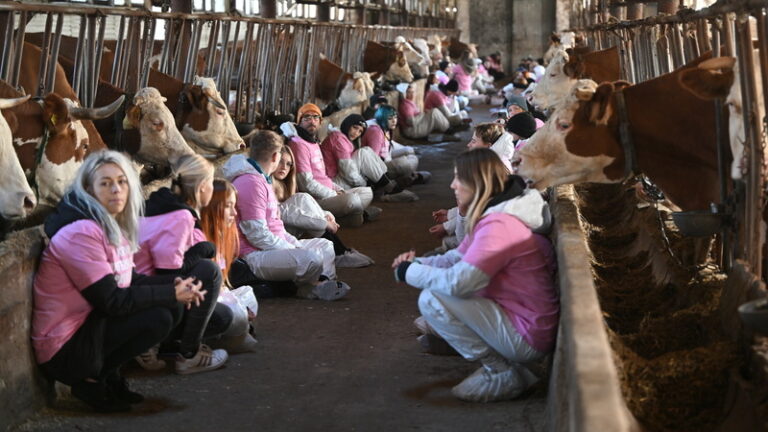 Na Havlíčkobrodsku obsadili aktivisté kravín kvůli podmínkám chovu zvířat