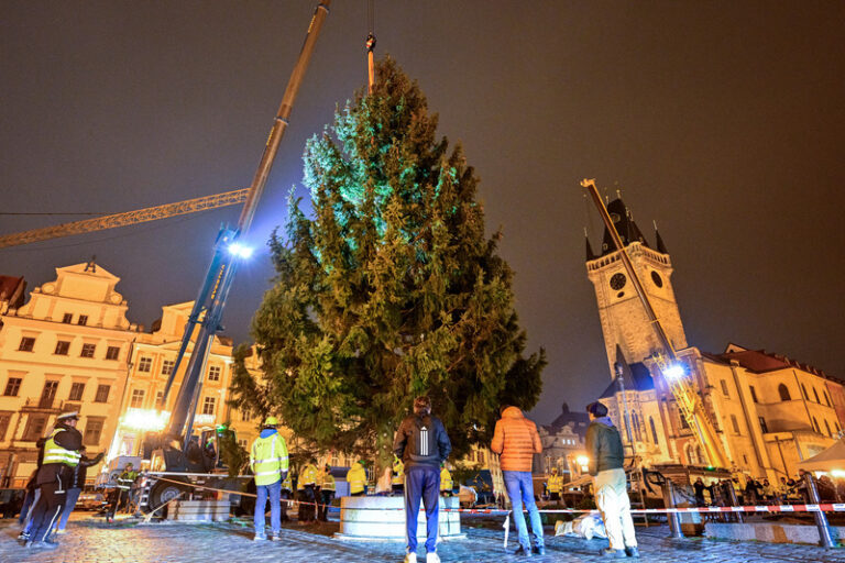 Na Staroměstském náměstí v Praze v noci vztyčili vánoční strom