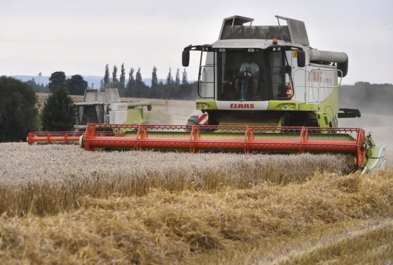 ČSÚ: Ceny v zemědělství loni klesly, v průmyslu stouply, zdražily i stavby