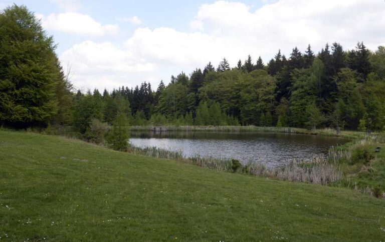 Sněmovna přes odpor opozice podpořila vznik NP na Křivoklátsku