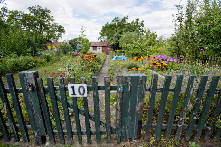 v ČR roste zájem o zahrádkaření, nových pozemků ale mnoho nepřibývá